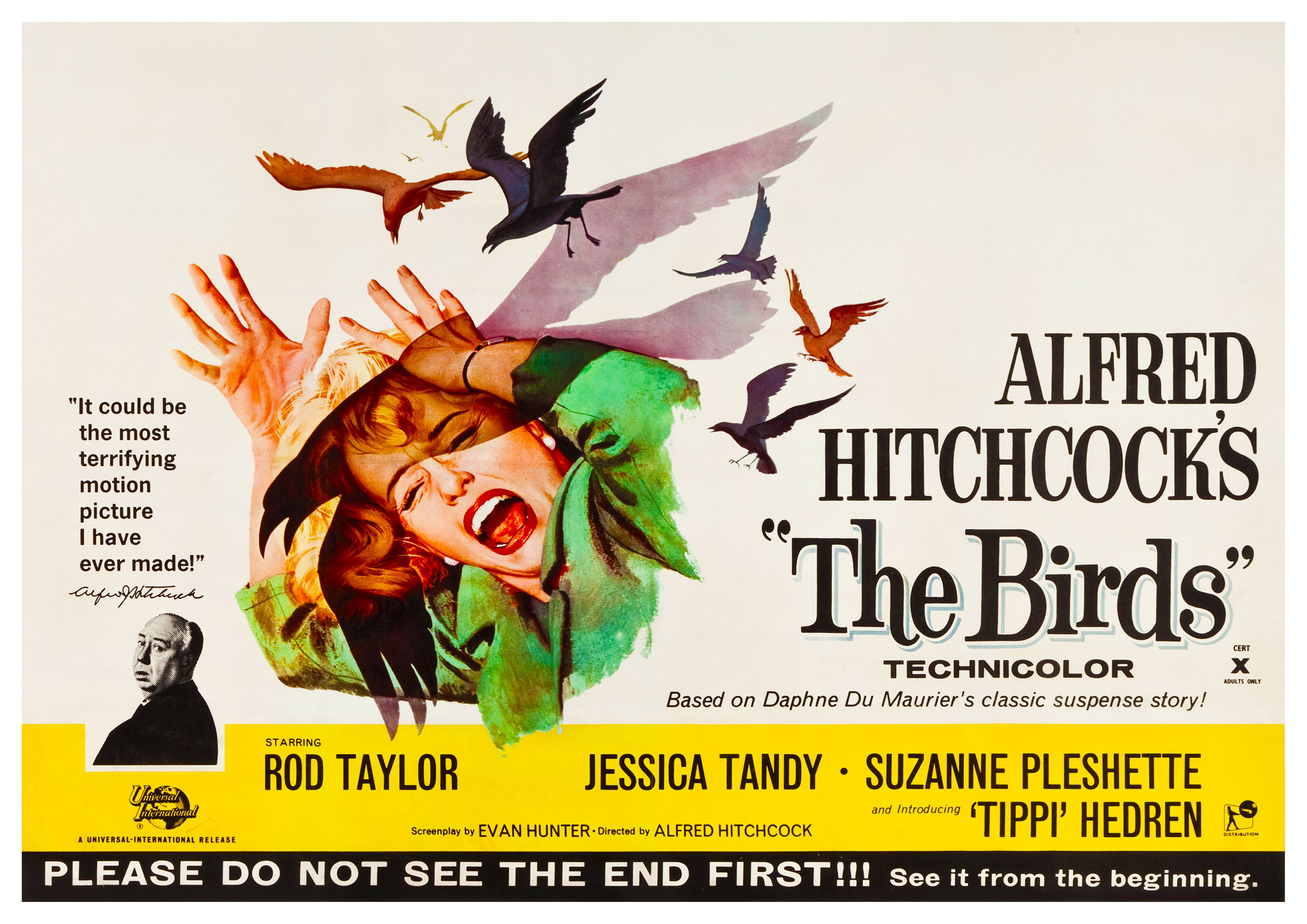 Reproduction Vintage "The Birds" Classic Movie Poster, Size: A2