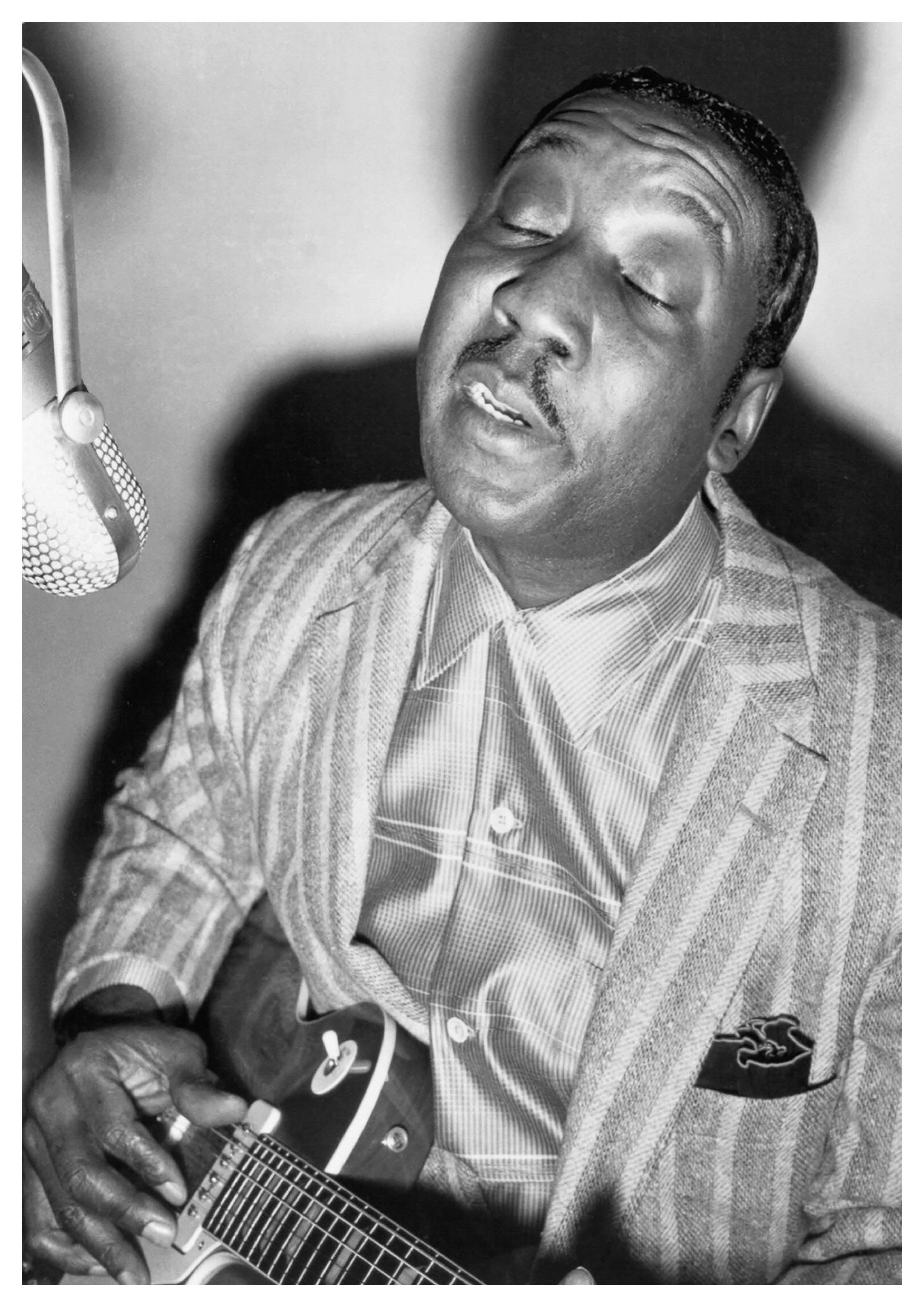Reproduction Vintage Blues Music Poster "Muddy Waters - Black & White" Size: A2