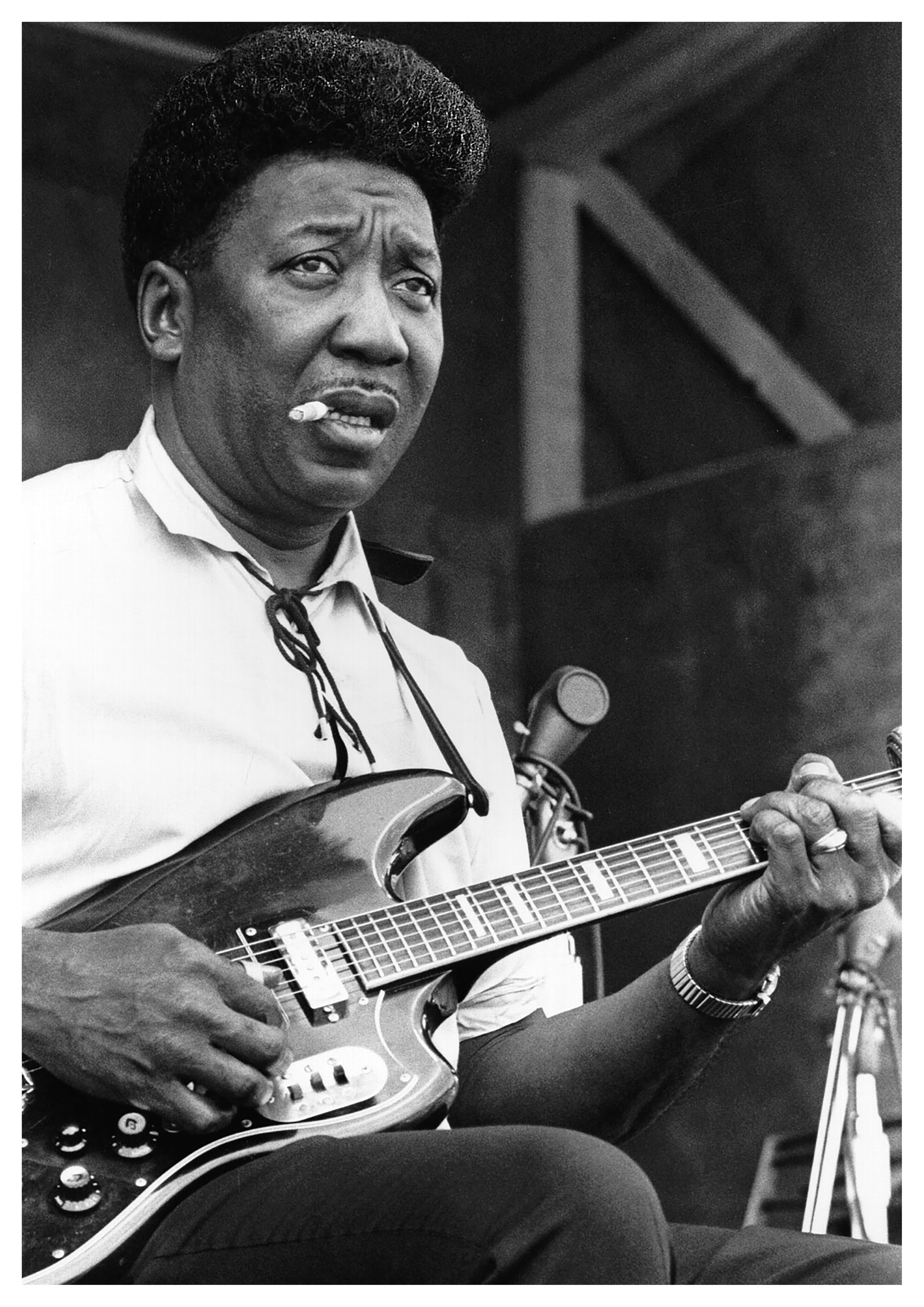 Reproduction Vintage Blues Music Poster "Muddy Waters - Black & White" Size: A2