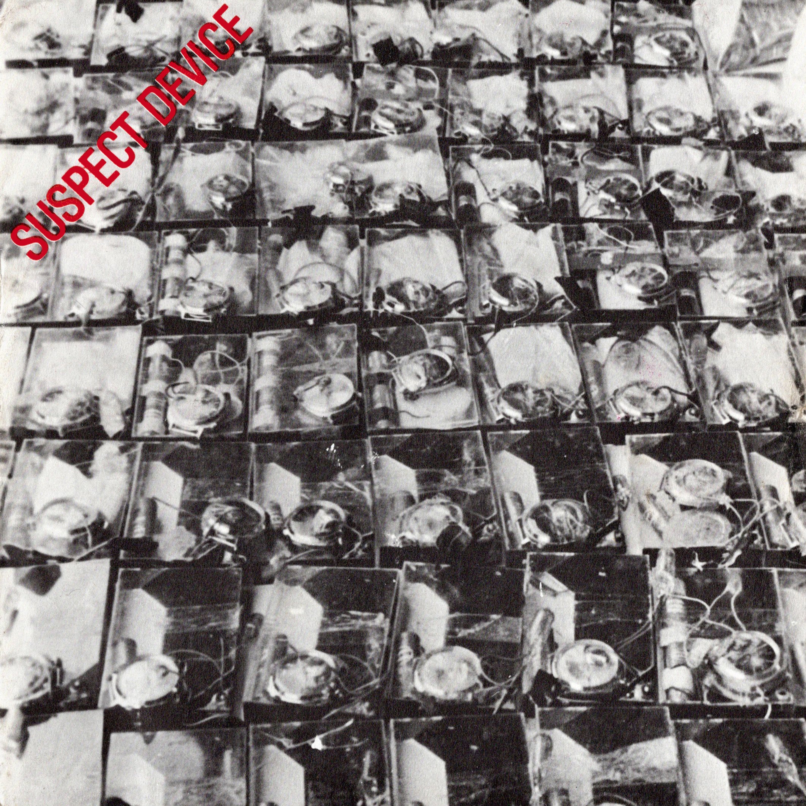 Reproduction Alternate 