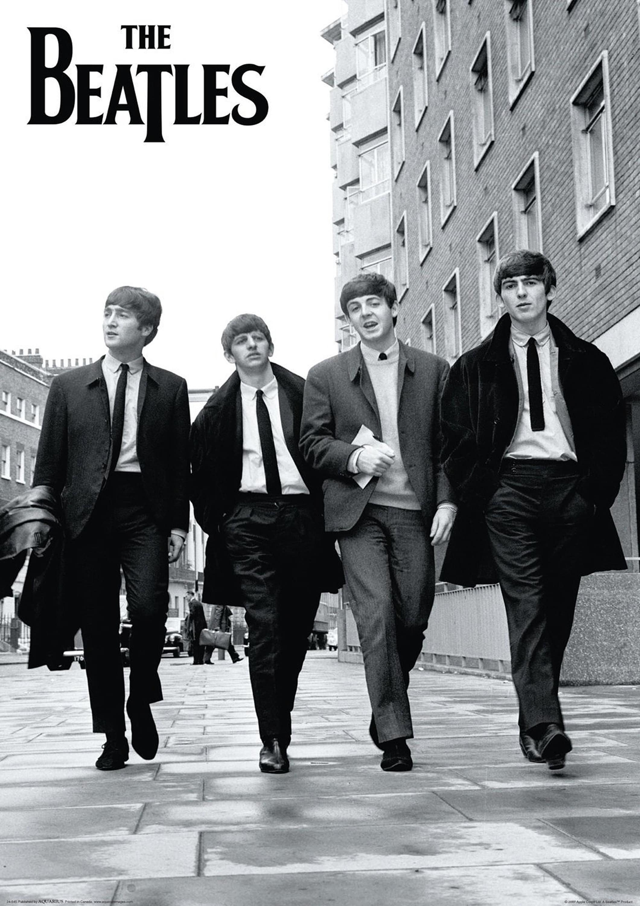 Reproduction Vintage The Beatles 