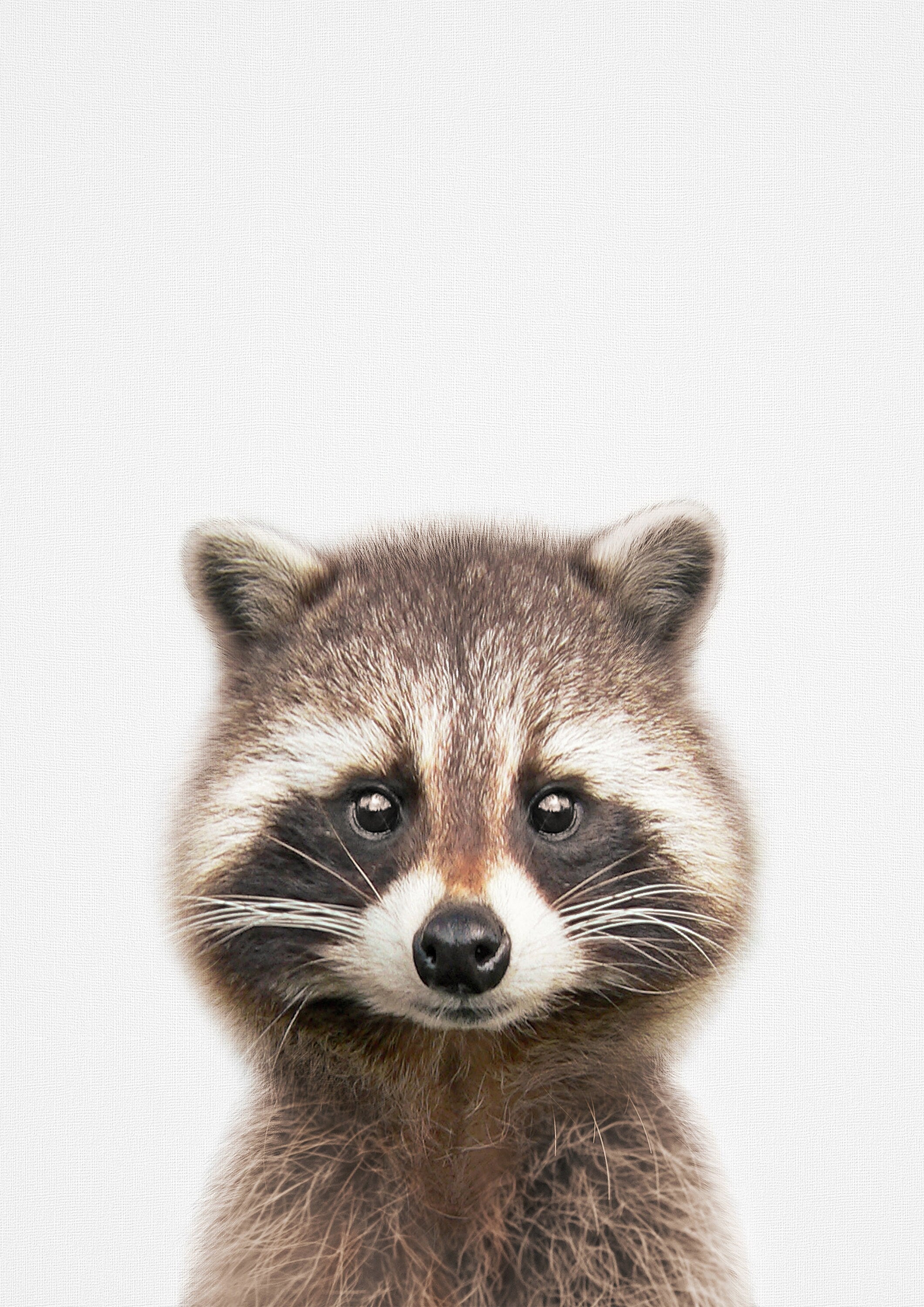 Reproduction Cute Animal Poster 