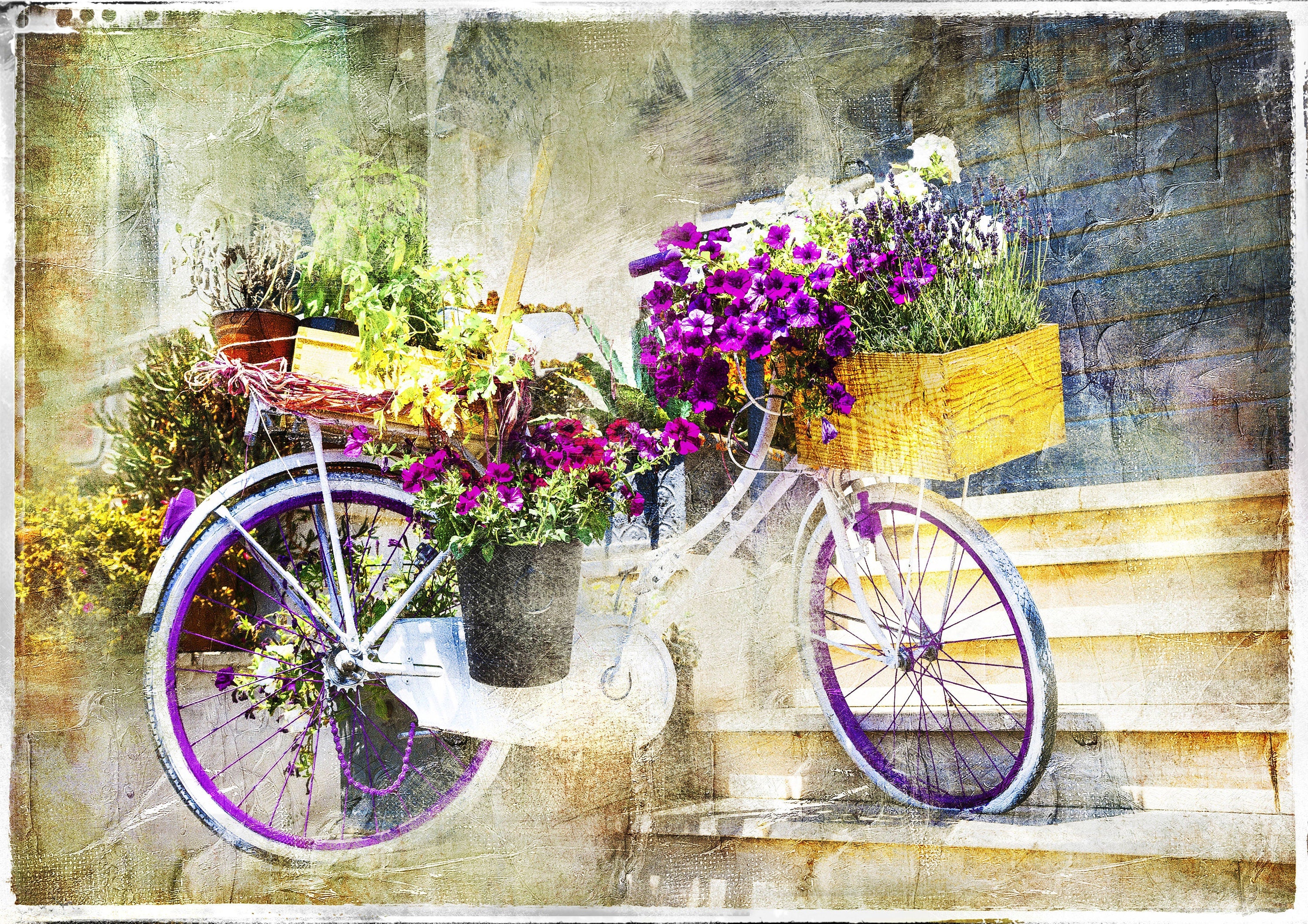 Reproduction Vintage "Bike With Petunias" Fine Art Poster, Home Wall Art, Various Sizes Available