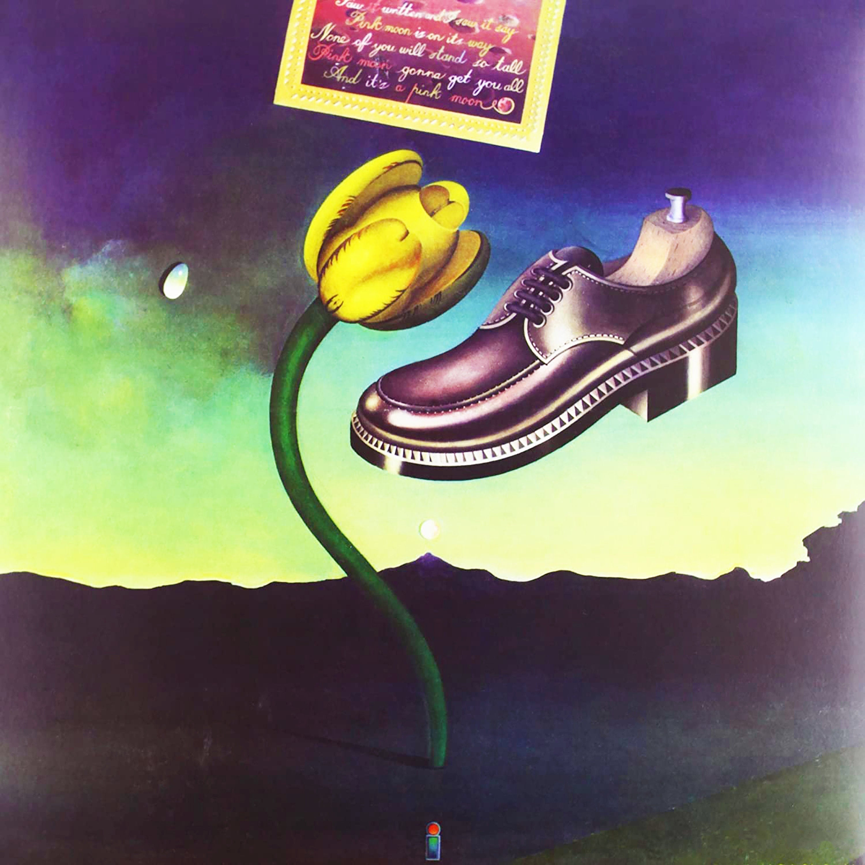 Reproduction Vintage Nick Drake 